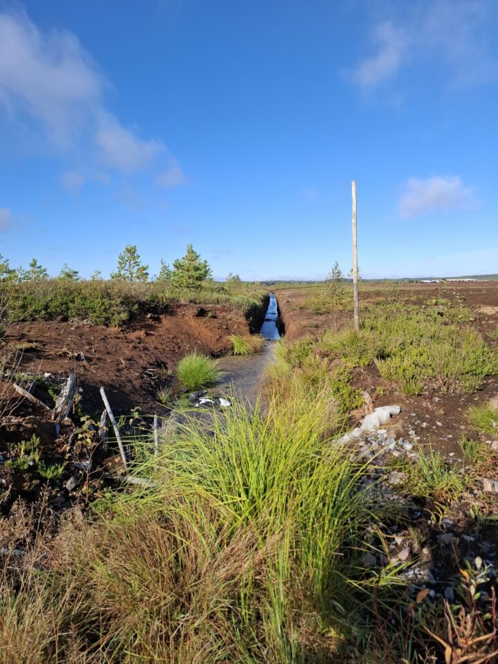 Maisema turvetuotantokäytössä olevan suoalueen ja luonnontilaisen suoalueen väliseltä rajalta. Keskellä oja.