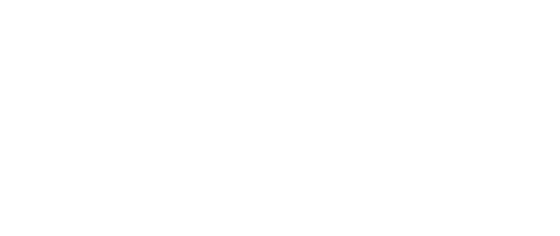 Business Finland logo white