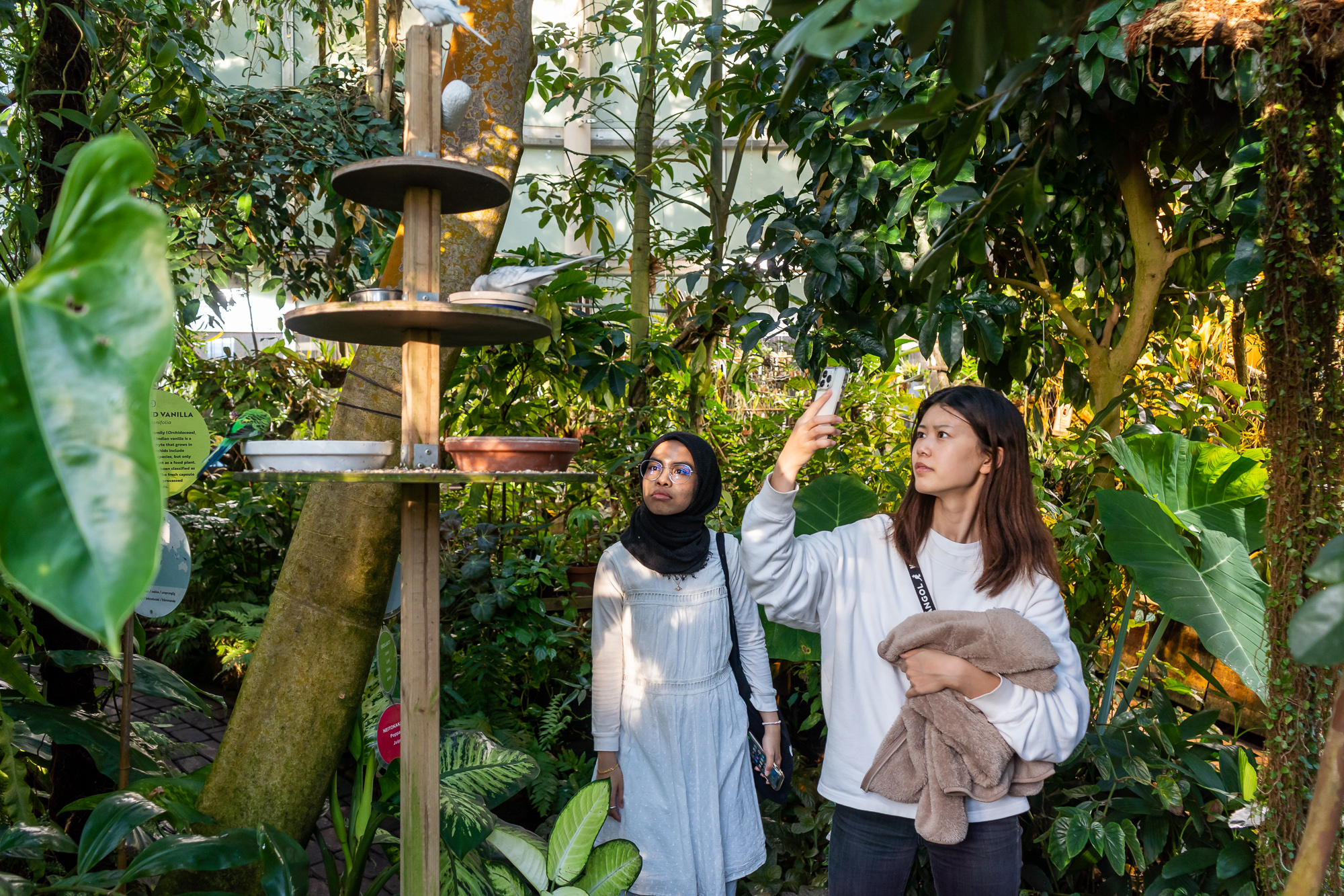 Kaksi vaihto-opiskelijaa katsomassa ja kuvaamassa kasvihuoneiden lintulaudalla ruokailevia lintuja.