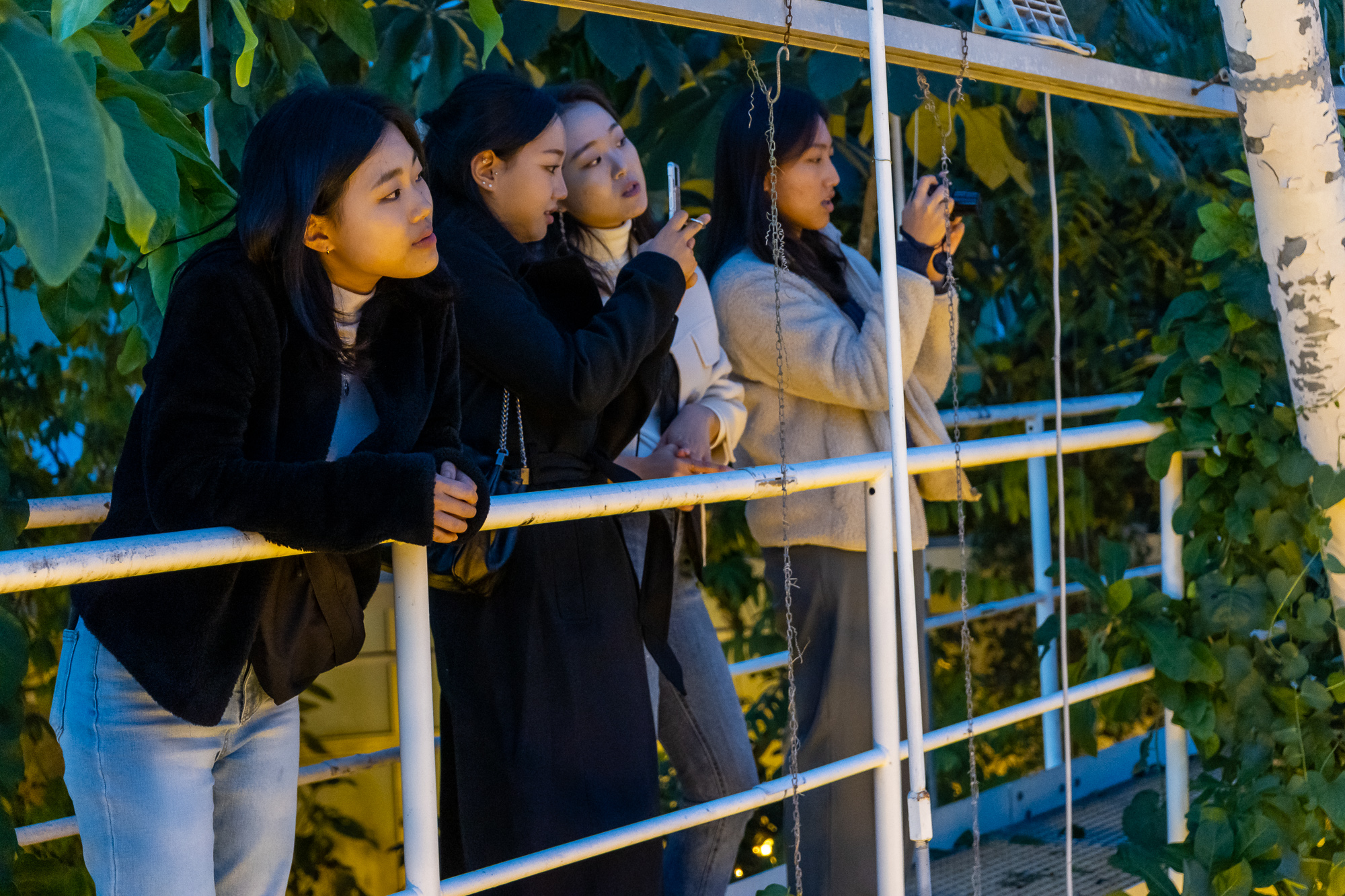 opiskelijoita hämärässä kasvihuoneessa kuvaamassa. 