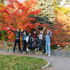 kansainvälisiä opiskelijoita oranssilehtisen puun edessä.
