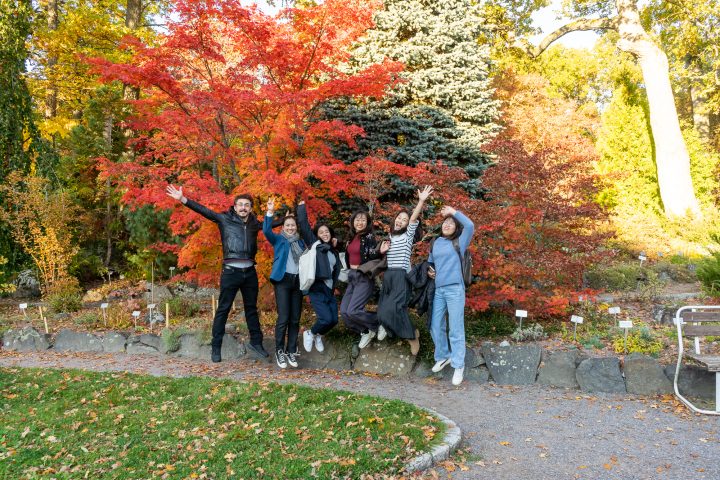 kansainvälisiä opiskelijoita oranssilehtisen puun edessä.