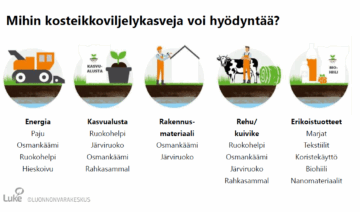 Kuvakaavio kosteikkoviljelyn hyödyntämismahdollisuuksista