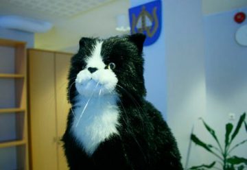 Soveltava pro gradu -tutkielma – sukellus projektimaailmaan