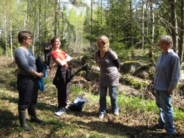 Lampaan historiaa ja museopuutarhoja