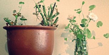 Muistin aika – Ajan kokemus Raija Siekkisen lyhytproosassa