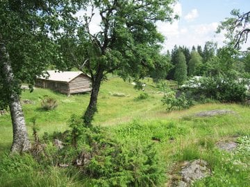 Tutkimus Värmlannin metsäsuomalaisista kertoo varhaisten suomalaisten uudisasukkaiden elämästä ja kulttuurista