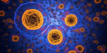 Konservatiivisuus vallitsee Ranskan bioeettisissä diskursseissa