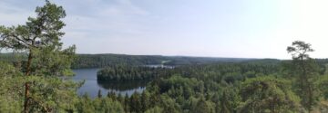 SeedLING – Metsäsanoista metsätekoihin