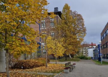 Inspiraatiota, verkostoitumista ja vertaistukea: Historiantutkimuksen päivät nuorten tutkijoiden silmin