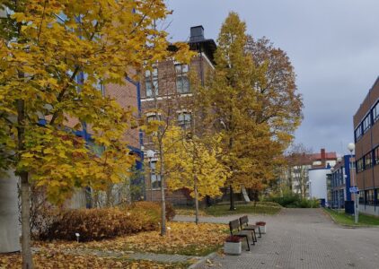 Ruskainen maisema, jossa on keltaisia puita, kerrostaloja ja puiston penkkejä.