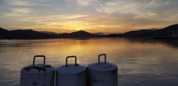 Getting Connected in Academia – A Simple Guide for Doctoral Researchers