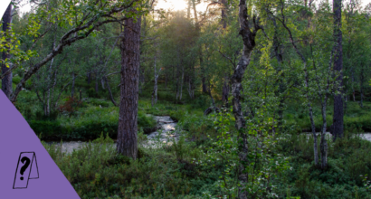 Metsä, jossa menee pieni vesistö. Kuvan päällä väripintoja ja ikoneita.