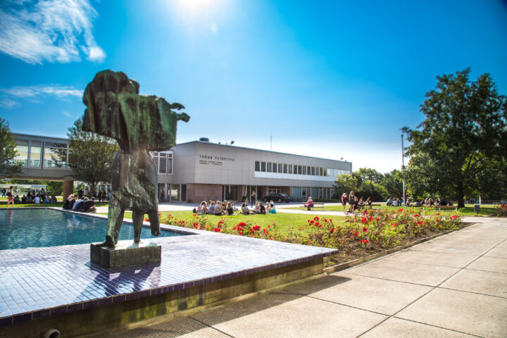 University hill during summer