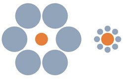 Ebbinghaus illusion