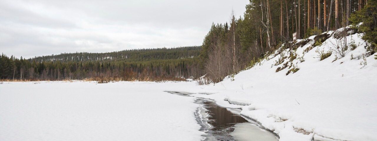 Photo by Ville Kankare, taken during fieldwork by the Fluvial and Coastal Research Group, Department of Geography, University of Turku, in northern Finland.