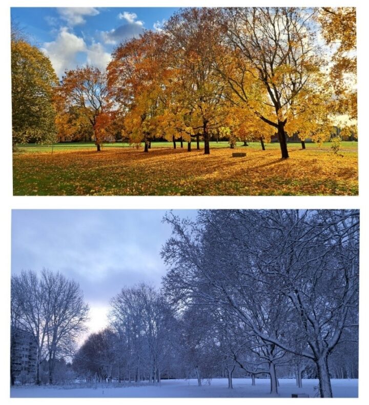 Same view, different seasons—how quickly landscapes can change, just like perspectives